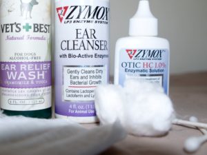 The products and tools used to take charge of stinky ears and chronic ear infections