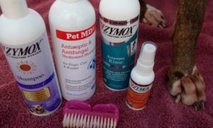 The Fuzzy Butts Blog-Skin Infections-What you need