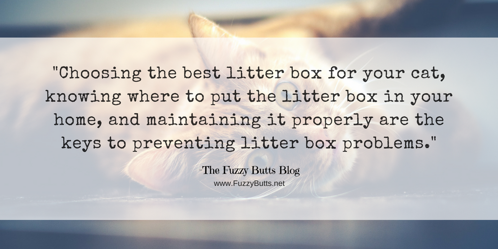 How To Choose The Best Litter Box For Your Cat-The Fuzzy Butts Blog