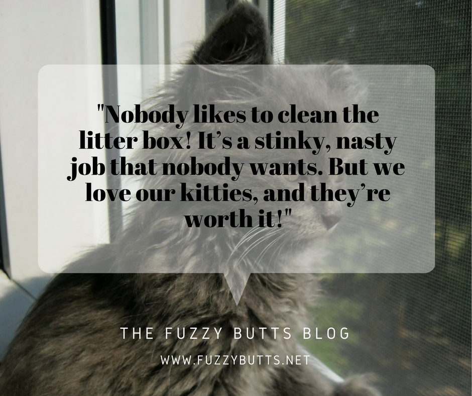 How To Choose The Best Litter Box For Your Cat-The Fuzzy Butts Blog