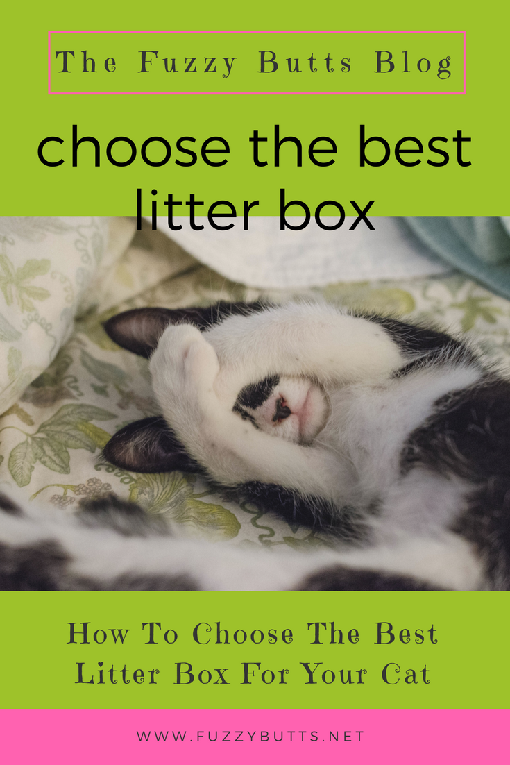 How To Choose The Best Litter Box For Your Cat
