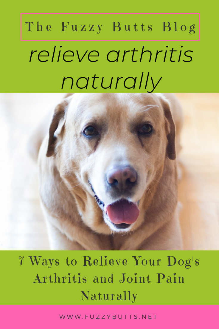 7 Ways to Relieve Your Dog’s Arthritis and Joint Pain Naturally