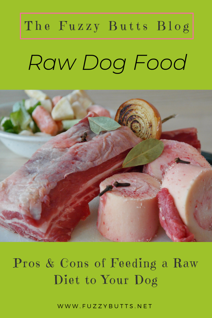 Raw Dog Food: Pros & Cons of Feeding a Raw Diet