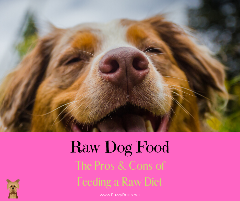 Raw Dog Food Pros & Cons of Feeding a Raw Diet The Fuzzy Butts Blog