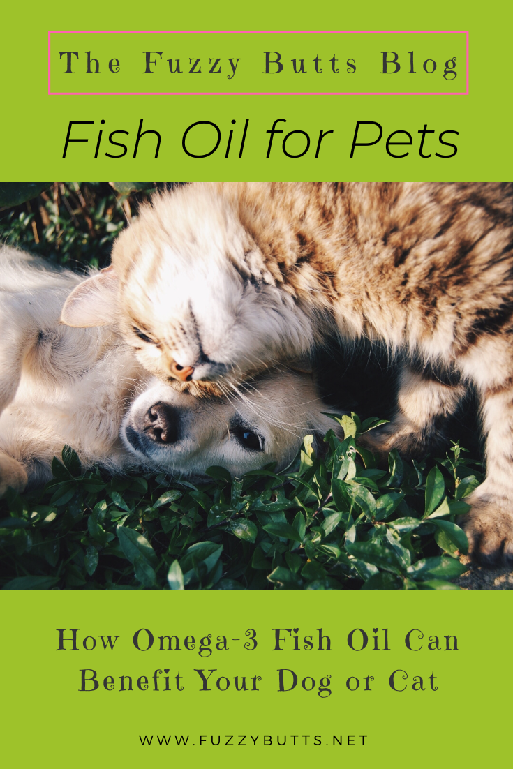 Fish Oil for Dogs and Cats | How Omega-3s Can Benefit Your Pet